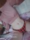   , , +7 (993) 606-0605